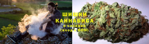 ешки Алзамай