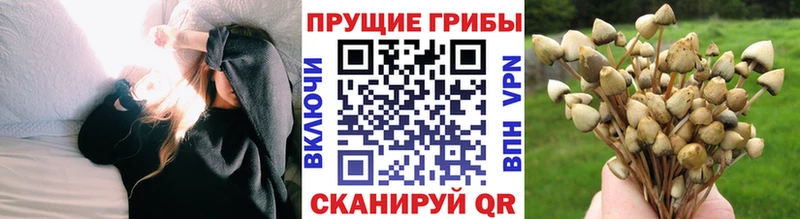 Псилоцибиновые грибы мицелий  darknet наркотические препараты  Энгельс 