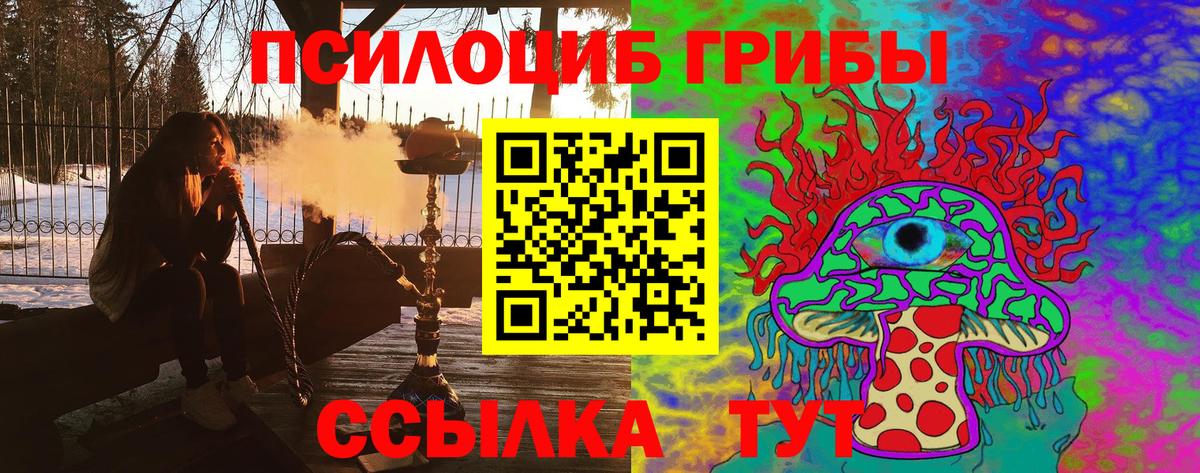 Псилоцибиновые грибы мухоморы Энгельс